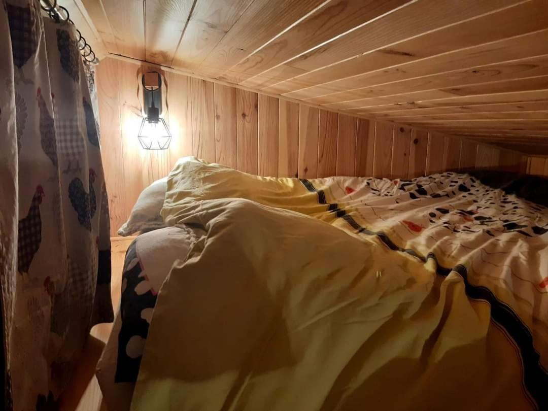 Country house Tiny House